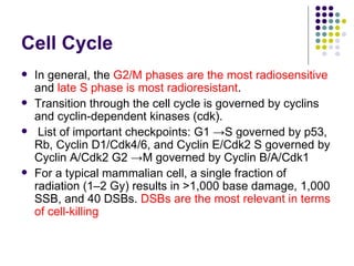 Cell Cycle
   In general, the G2/M phases are the most radiosensitive
    and late S phase is most radioresistant.
   Transition through the cell cycle is governed by cyclins
    and cyclin-dependent kinases (cdk).
    List of important checkpoints: G1 →S governed by p53,
    Rb, Cyclin D1/Cdk4/6, and Cyclin E/Cdk2 S governed by
    Cyclin A/Cdk2 G2 →M governed by Cyclin B/A/Cdk1
   For a typical mammalian cell, a single fraction of
    radiation (1–2 Gy) results in >1,000 base damage, 1,000
    SSB, and 40 DSBs. DSBs are the most relevant in terms
    of cell-killing
 