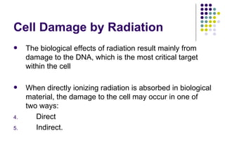 Radiobiology Slide 10