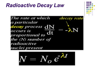 Radioactive Decay Law
 