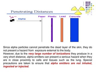 Since alpha particles cannot penetrate the dead layer of the skin, they do
not present a hazard from exposure external to the body.
However, due to the very large number of ionizations they produce in a
very short distance, alpha emitters can present a serious hazard when they
are in close proximity to cells and tissues such as the lung. Special
precautions are taken to ensure that alpha emitters are not inhaled,
ingested or injected.
 