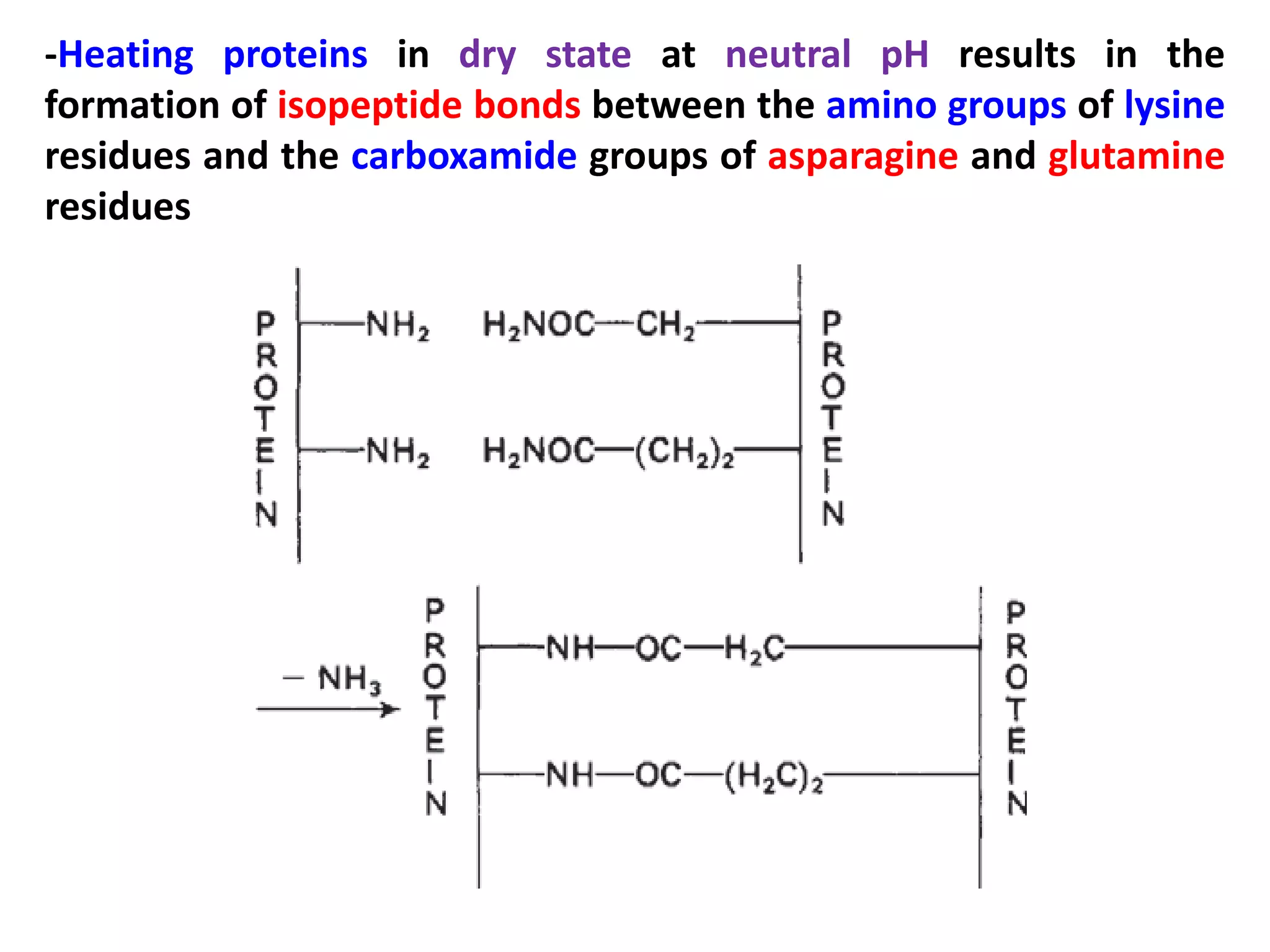 -Heating proteins in dry state at neutral pH results in the
formation of isopeptide bonds between the amino groups of lysine
residues and the carboxamide groups of asparagine and glutamine
residues

 