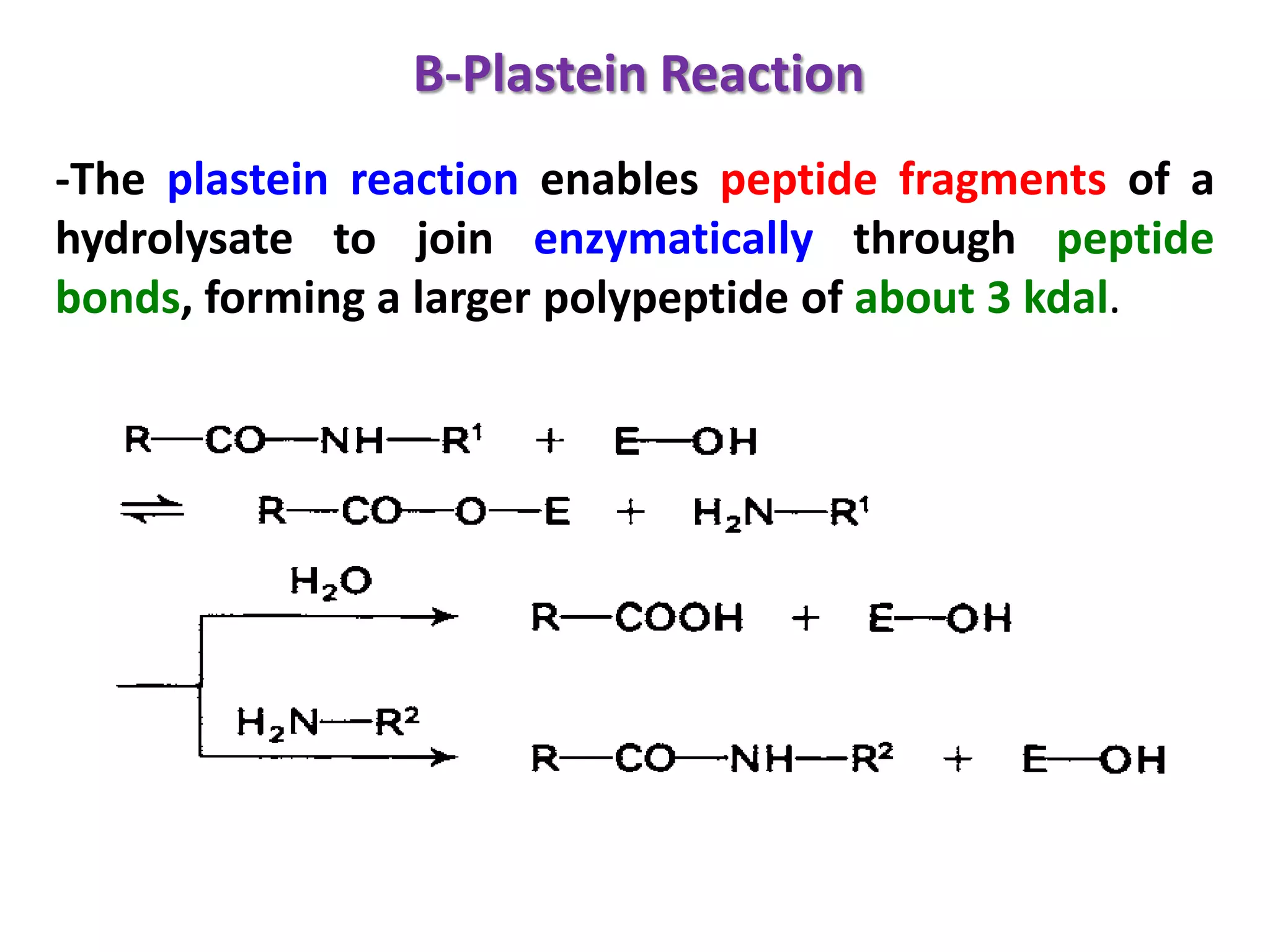 B-Plastein Reaction
-The plastein reaction enables peptide fragments of a
hydrolysate to join enzymatically through peptide
bonds, forming a larger polypeptide of about 3 kdal.

 