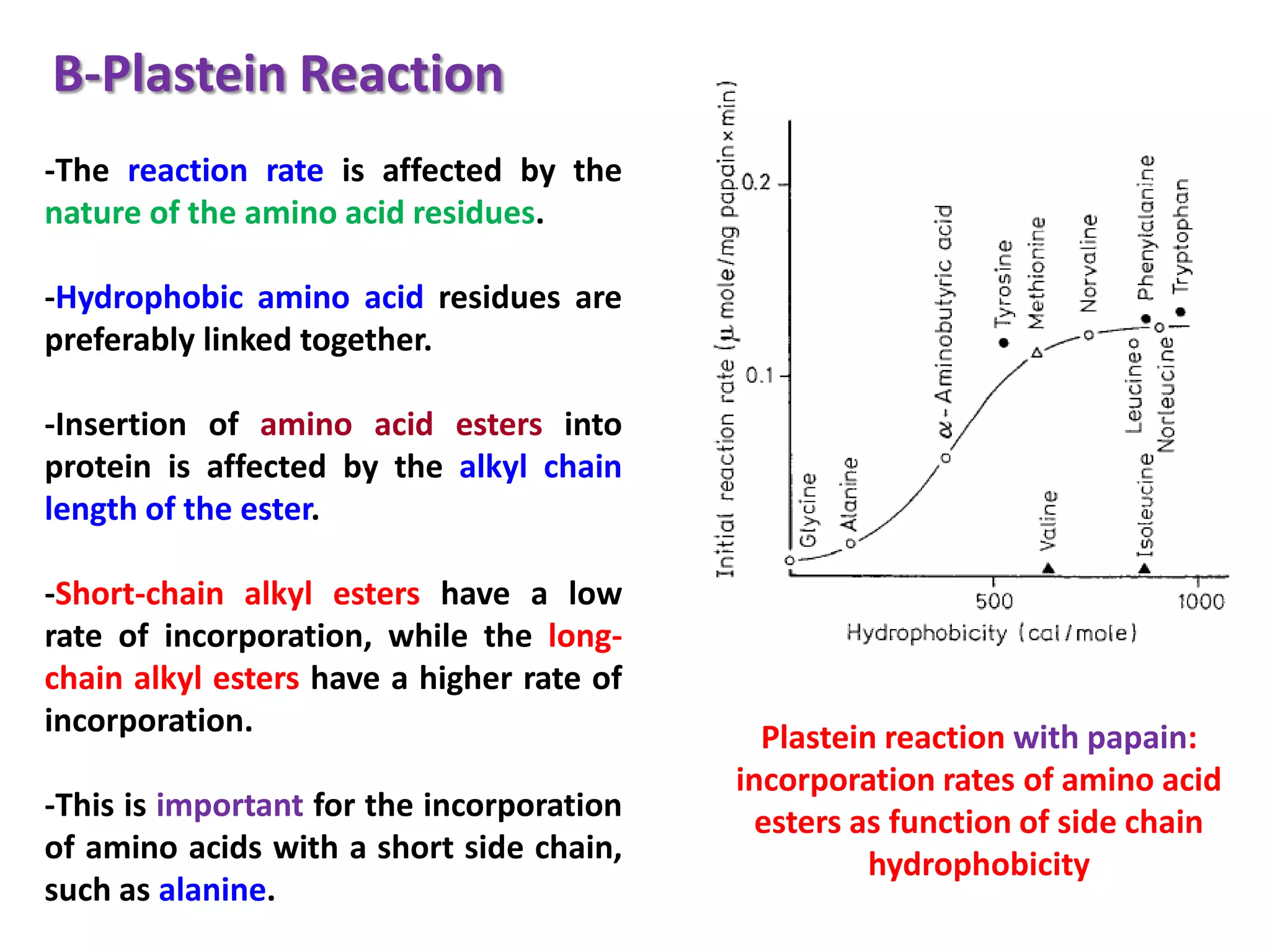 B-Plastein Reaction
-The reaction rate is affected by the
nature of the amino acid residues.
-Hydrophobic amino acid residues are
preferably linked together.
-Insertion of amino acid esters into
protein is affected by the alkyl chain
length of the ester.
-Short-chain alkyl esters have a low
rate of incorporation, while the longchain alkyl esters have a higher rate of
incorporation.
-This is important for the incorporation
of amino acids with a short side chain,
such as alanine.

Plastein reaction with papain:
incorporation rates of amino acid
esters as function of side chain
hydrophobicity

 