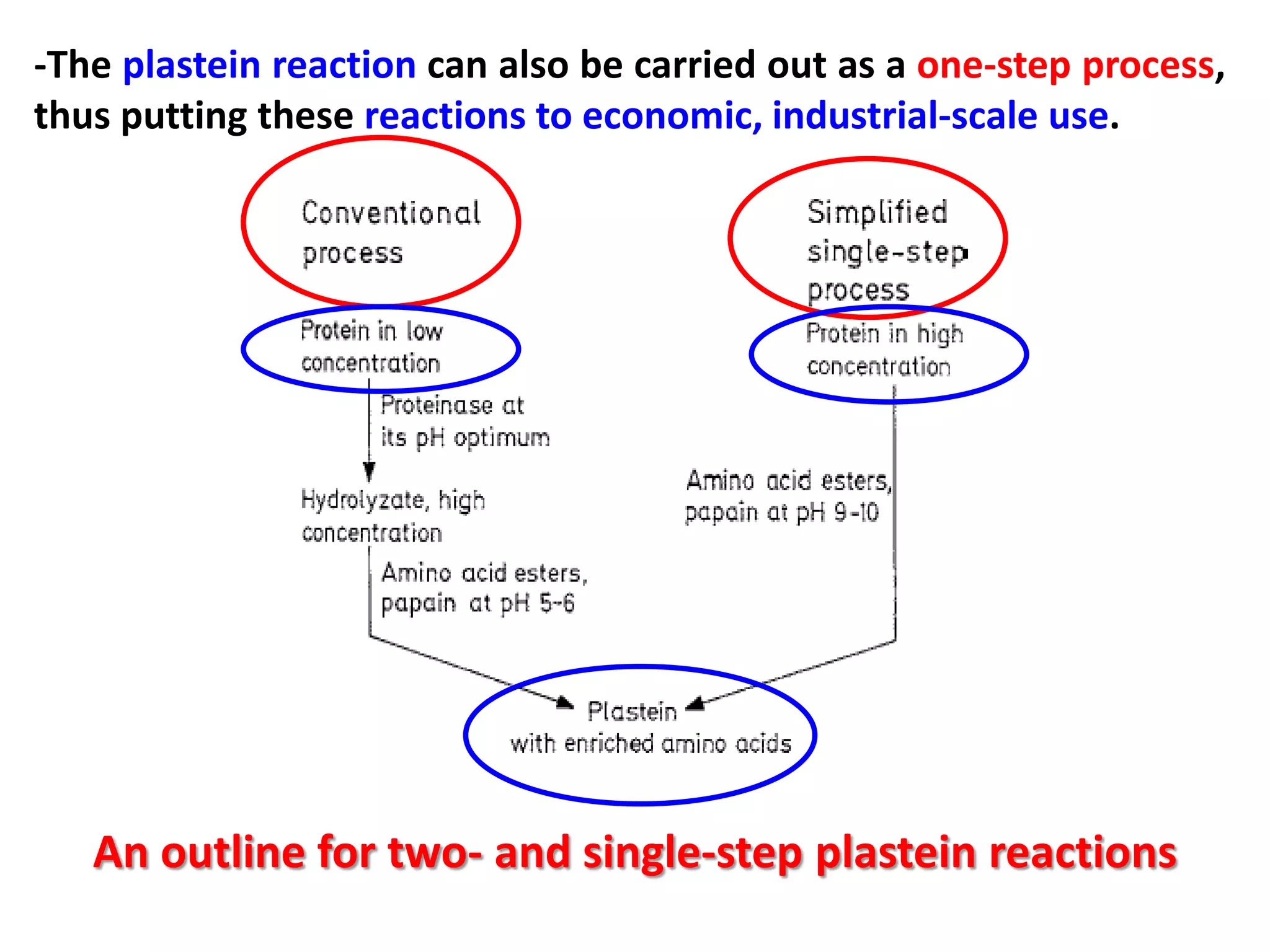 -The plastein reaction can also be carried out as a one-step process,
thus putting these reactions to economic, industrial-scale use.

An outline for two- and single-step plastein reactions

 