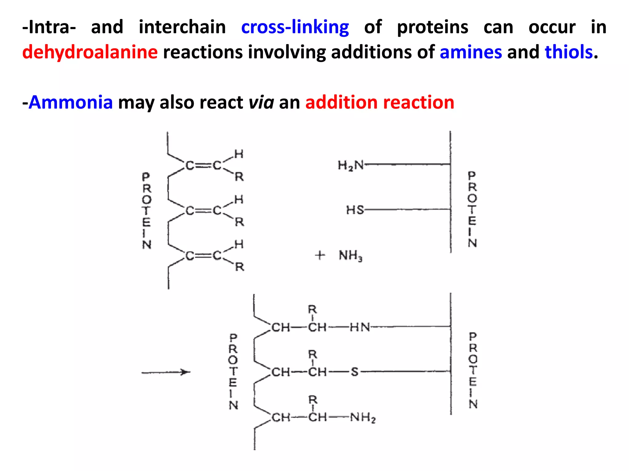 -Intra- and interchain cross-linking of proteins can occur in
dehydroalanine reactions involving additions of amines and thiols.
-Ammonia may also react via an addition reaction

 