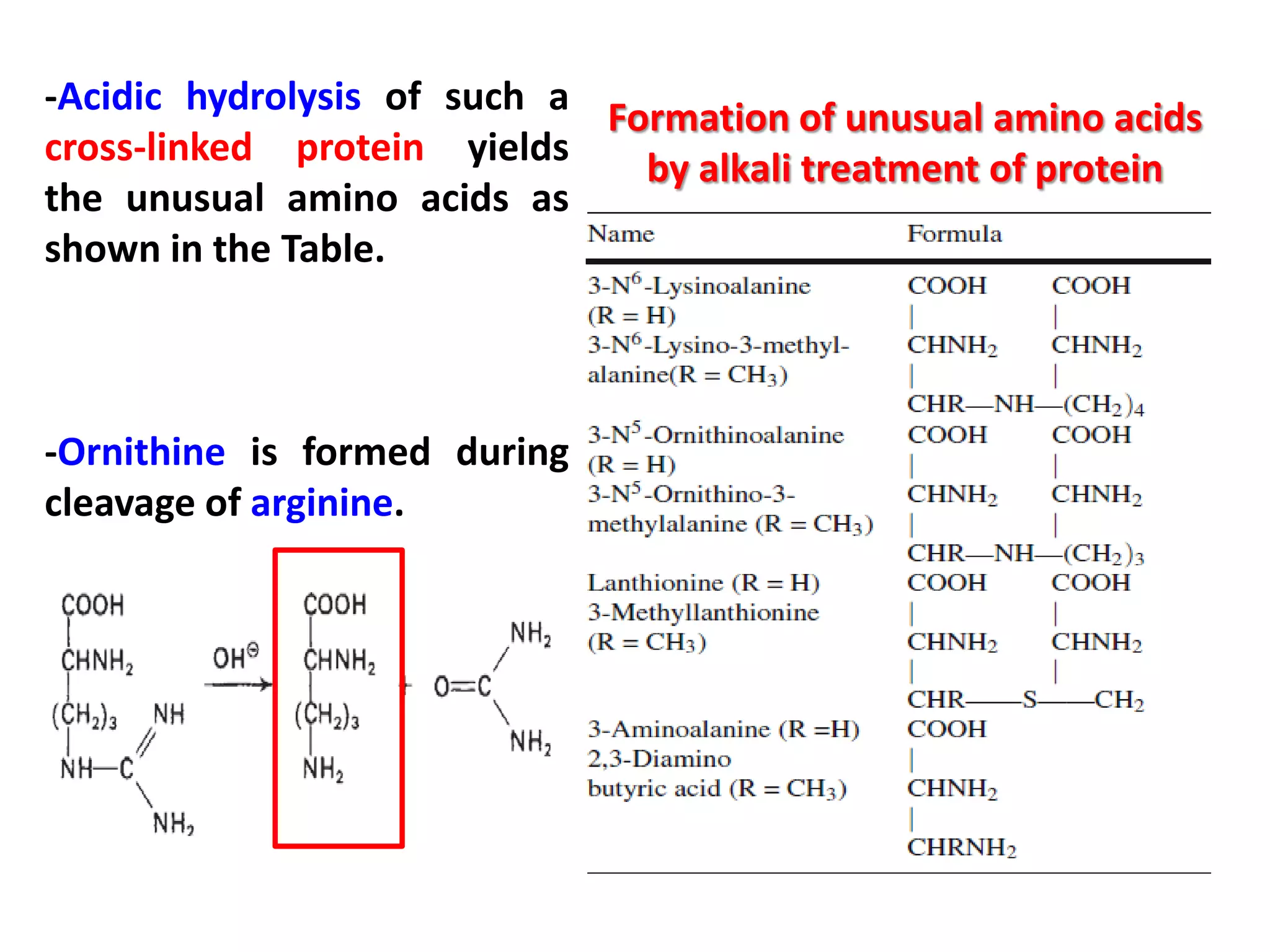 -Acidic hydrolysis of such a Formation of unusual amino acids
cross-linked protein yields
by alkali treatment of protein
the unusual amino acids as
shown in the Table.

-Ornithine is formed during
cleavage of arginine.

 