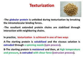 Protein Texturization Reactions of proteins | PDF
