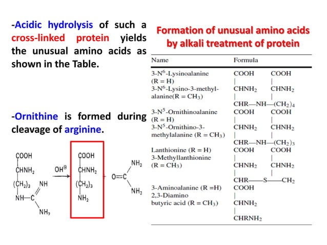 Reactions of proteins