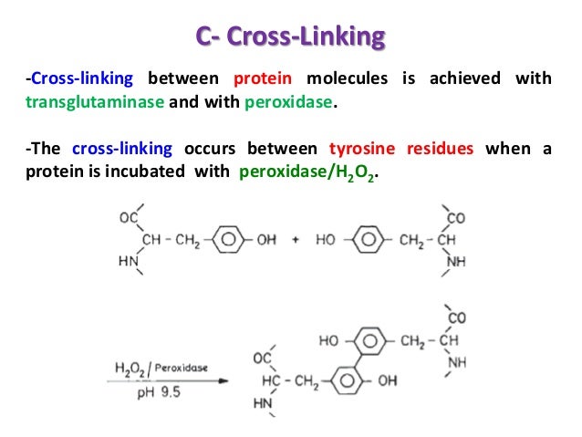 Reactions of proteins