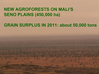 NEW AGROFORESTS ON MALI’S
SENO PLAINS (450,000 ha)

GRAIN SURPLUS IN 2011: about 50,000 tons
 