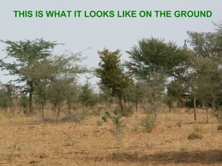 THIS IS WHAT IT LOOKS LIKE ON THE GROUND
 