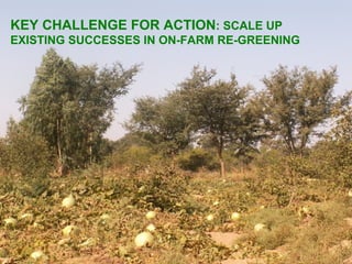 KEY CHALLENGE FOR ACTION: SCALE UP
EXISTING SUCCESSES IN ON-FARM RE-GREENING
 