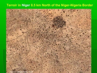 Terroir in Niger 8.5 km North of the Niger-Nigeria Border




 Source: Google Earth, 2005
 
