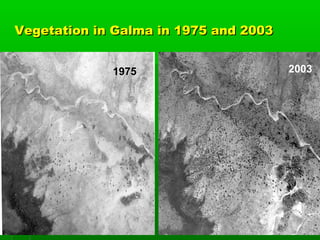 Vegetation in Galma in 1975 and 2003


             1975                      2003
 