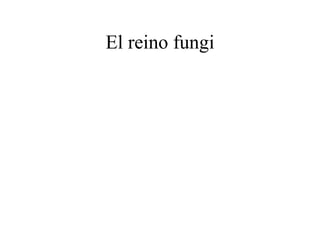 El reino fungi
 