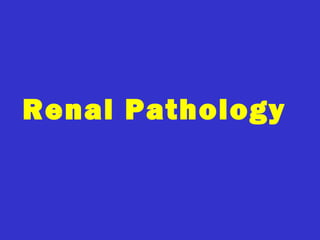 Renal Pathology
 