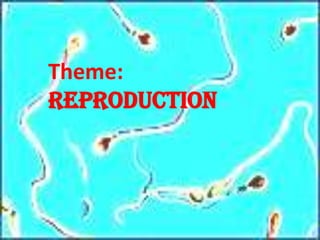 Theme:
REPRODUCTION
 