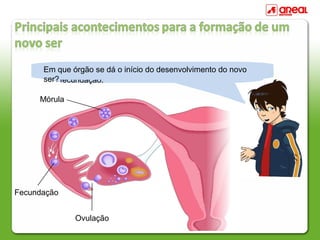 Explica o que é a ovulação.
Fecundação
Indica em que órgão ocorre, geralmente, a
fecundação.
Em que órgão se dá o início do desenvolvimento do novo
ser?
Ovulação
Mórula
 