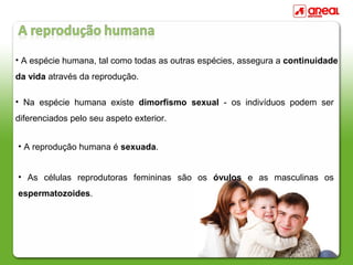 • A espécie humana, tal como todas as outras espécies, assegura a continuidade
da vida através da reprodução.
• Na espécie humana existe dimorfismo sexual - os indivíduos podem ser
diferenciados pelo seu aspeto exterior.
• A reprodução humana é sexuada.
• As células reprodutoras femininas são os óvulos e as masculinas os
espermatozoides.
 