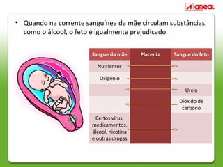 • Quando na corrente sanguínea da mãe circulam substâncias,
como o álcool, o feto é igualmente prejudicado.
Sangue da mãe Placenta Sangue do feto
Nutrientes
Oxigénio
Ureia
Dióxido de
carbono
Certos vírus,
medicamentos,
álcool, nicotina
e outras drogas
 