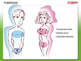 - Transição para adulto
- Distinção sexual
- Capacidade reprodutiva
PUBERDADE
 