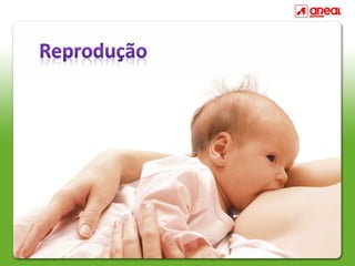 Reprodução Humana
