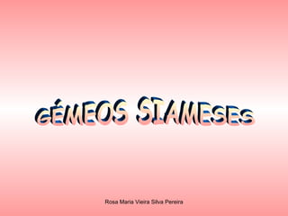 GÉMEOS SIAMESES 