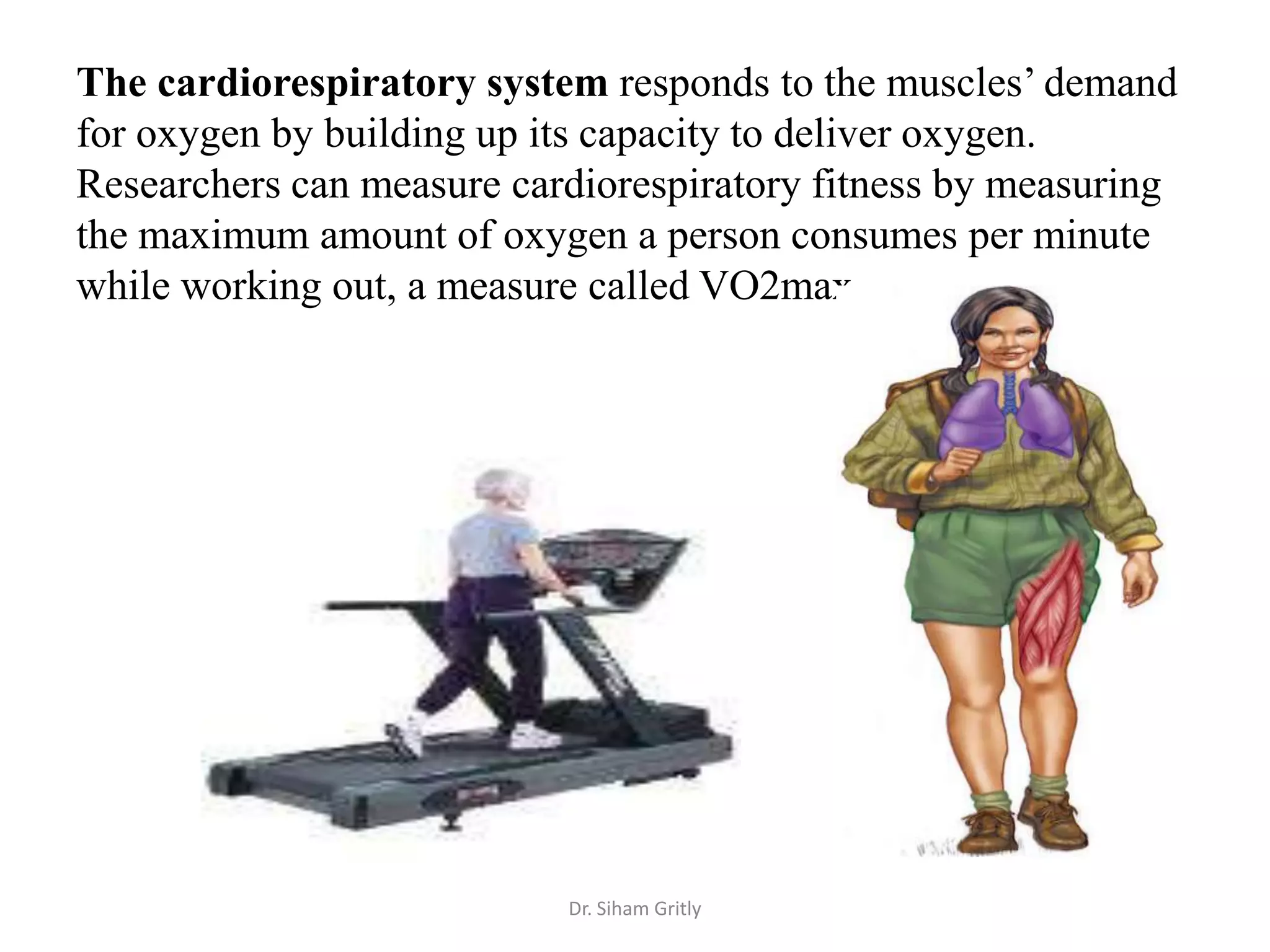 The cardiorespiratory system responds to the muscles’ demand
for oxygen by building up its capacity to deliver oxygen.
Researchers can measure cardiorespiratory fitness by measuring
the maximum amount of oxygen a person consumes per minute
while working out, a measure called VO2max




                           Dr. Siham Gritly
 