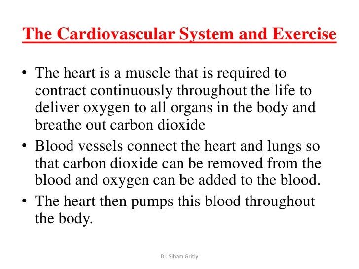 Cardiovascular system essays