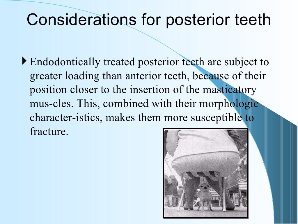 6.restoration of the endodontically treated tooth