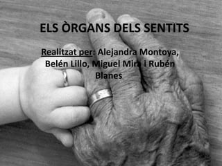 ELS ÒRGANS DELS SENTITS
Realitzat per: Alejandra Montoya,
 Belén Lillo, Miguel Mira i Rubén
              Blanes.
 