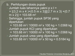 b.  Perhitungan dosis pupuk Jumlah luas lahannya yakni p x l = =  [ (3,2 m x 4 ) +(0.5 m x 3)][ (2.7 m x 3 ) +(0.7 m x 2)]  = 103.68 m 2   Sehingga, jumlah pupuk SP36 yang diperlukan = 103.68 m 2  / 10000 m 2  x 100 kg = 1.0368 kg Jumlah pupuk KCl yang diperlukan = 103.68 m 2  / 10000 m 2  x 100 kg = 1.0368 kg Jumlah pupuk urea yang diperlukan = 103.68 m 2  / 10000 m 2  x 50 kg = 0.5184 kg Fakultas Pertanian Universitas Bengkulu, 2011 