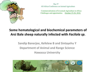 Some hematological and biochemical parameters of
Arsi Bale sheep naturally infected with Facilola sp.
Sandip Banerjee, Kefelew B and Sintayehu Y
Department of Animal and Range Science
Hawassa University
The 5th
All Africa Conference on Animal Agriculture
Commercialization of Livestock Agriculture in Africa:
Challenges and opportunities October 25-28, 2010.
 