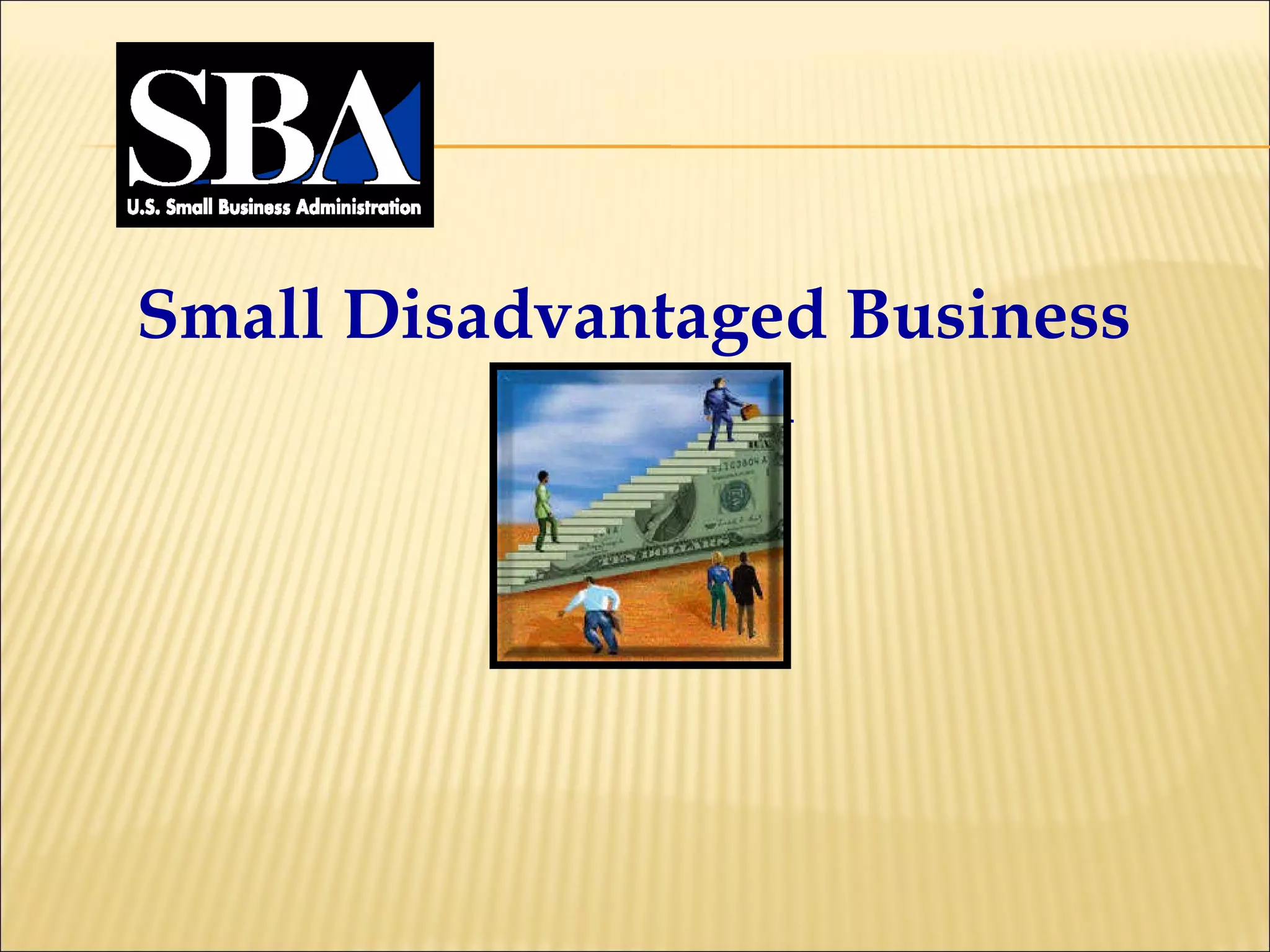 Small Disadvantaged Business Program 