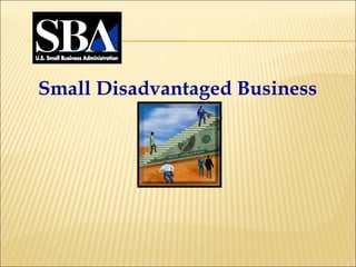 Small Disadvantaged Business Program 