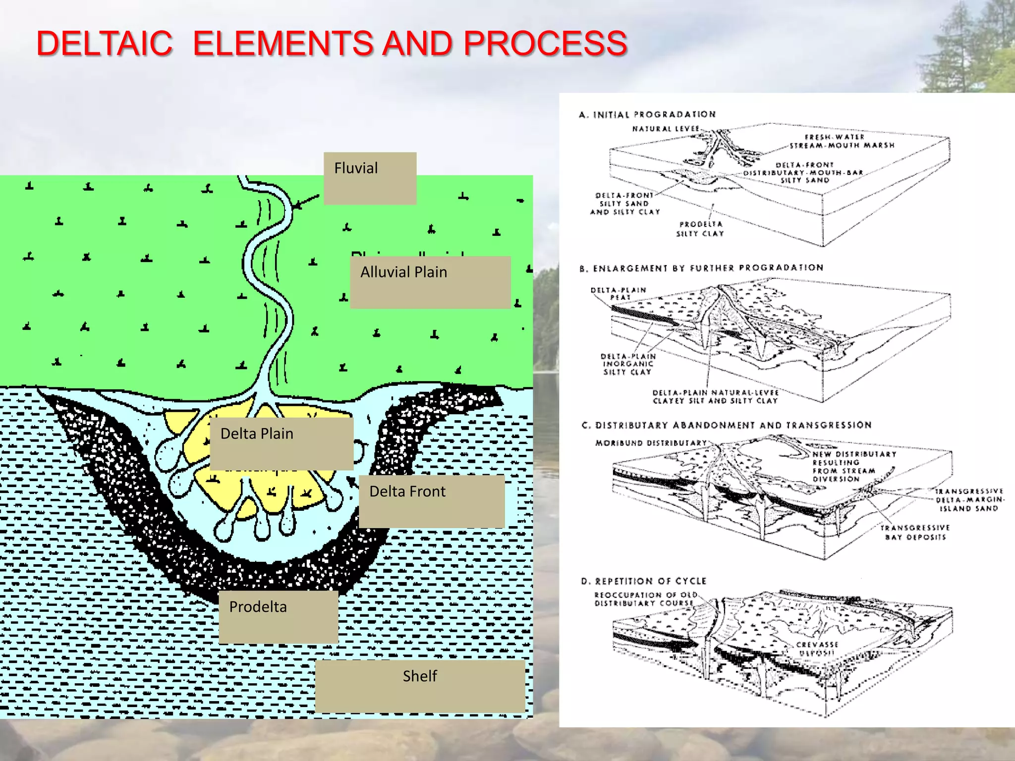 Fluvial
Alluvial Plain
Delta Plain
Delta Front
Prodelta
Shelf
DELTAIC ELEMENTS AND PROCESS
 