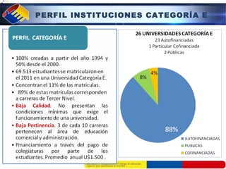 PERFIL INSTITUCIONES CATEGORÍA E 