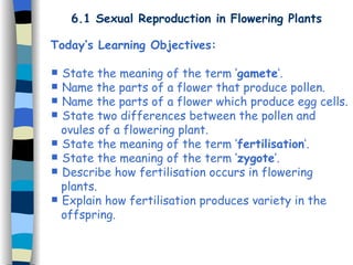 6.1 Sexual Reproduction in Flowering Plants
Today’s Learning Objectives:
 State the meaning of the term ‘gamete’.
 Name the parts of a flower that produce pollen.
 Name the parts of a flower which produce egg cells.
 State two differences between the pollen and
ovules of a flowering plant.
 State the meaning of the term ‘fertilisation’.
 State the meaning of the term ‘zygote’.
 Describe how fertilisation occurs in flowering
plants.
 Explain how fertilisation produces variety in the
offspring.
 