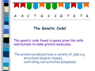 6. Sex Cells & Fertilisation | PPT