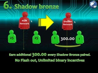 Main               Shadow
     Network             Network




25             25   1   300.00     1
 