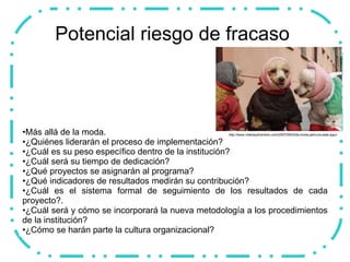 Potencial riesgo de fracaso  Más allá de la moda.  ¿Quiénes liderarán el proceso de implementación? ¿Cuál es su peso específico dentro de la institución? ¿Cuál será su tiempo de dedicación?  ¿Qué proyectos se asignarán al programa?  ¿Qué indicadores de resultados medirán su contribución?  ¿Cuál es el sistema formal de seguimiento de los resultados de cada proyecto?.  ¿Cuál será y cómo se incorporará la nueva metodología a los procedimientos de la institución? ¿Cómo se harán parte la cultura organizacional? http://www.videosydiversion.com/2007/05/03/la-moda-perruna-esta-aqui/ 