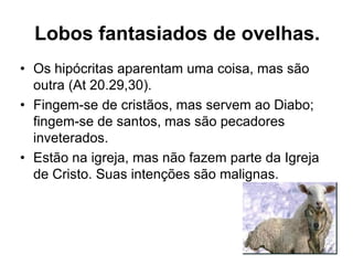 Lobos fantasiados de ovelhas.
• Os hipócritas aparentam uma coisa, mas são
  outra (At 20.29,30).
• Fingem-se de cristãos, mas servem ao Diabo;
  fingem-se de santos, mas são pecadores
  inveterados.
• Estão na igreja, mas não fazem parte da Igreja
  de Cristo. Suas intenções são malignas.
 