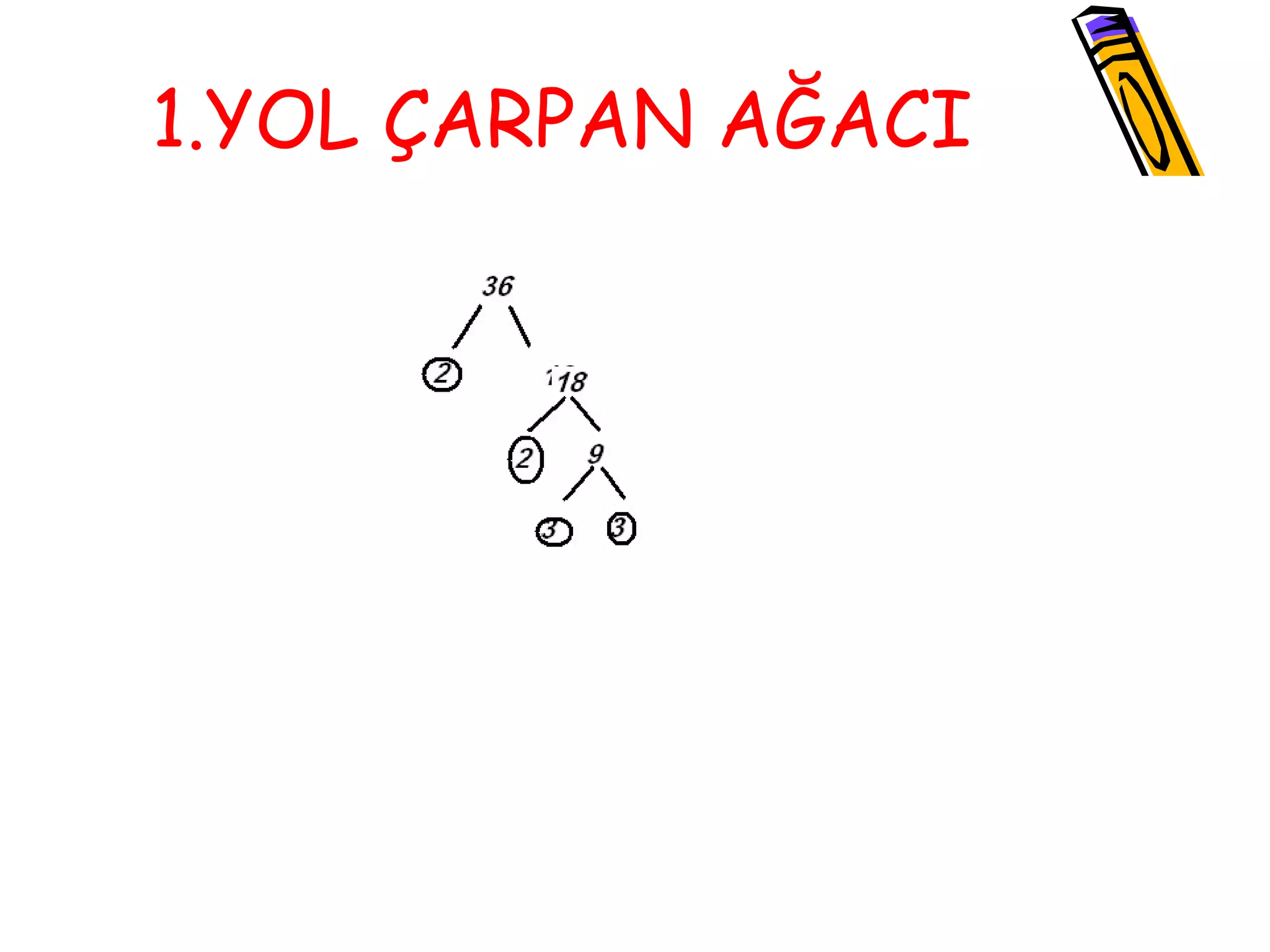 1.YOL ÇARPAN AĞACI
 