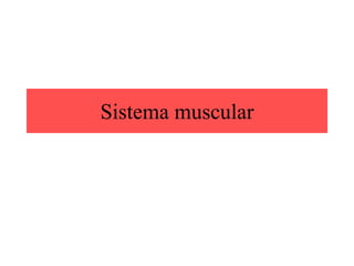 Sistema muscular
 