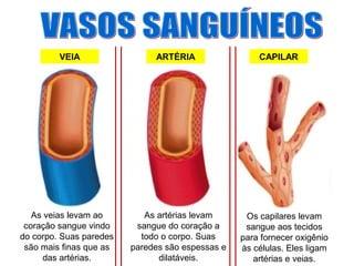 VEIA ARTÉRIA CAPILAR
As veias levam ao
coração sangue vindo
do corpo. Suas paredes
são mais finas que as
das artérias.
As artérias levam
sangue do coração a
todo o corpo. Suas
paredes são espessas e
dilatáveis.
Os capilares levam
sangue aos tecidos
para fornecer oxigênio
às células. Eles ligam
artérias e veias.
 