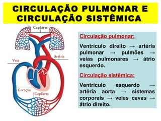 CIRCULAÇÃO PULMONAR E
CIRCULAÇÃO SISTÊMICA
Circulação pulmonar:
Ventrículo direito → artéria
pulmonar → pulmões →
veias pulmonares → átrio
esquerdo.
Circulação sistêmica:
Ventrículo esquerdo →
artéria aorta → sistemas
corporais → veias cavas →
átrio direito.
 
