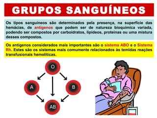 GRUPOS SANGUÍNEOS
Os tipos sanguíneos são determinados pela presença, na superfície das
hemácias, de antígenos que podem ser de natureza bioquímica variada,
podendo ser compostos por carboidratos, lipídeos, proteínas ou uma mistura
desses compostos.
Os antígenos considerados mais importantes são o sistema ABO e o Sistema
Rh. Estes são os sistemas mais comumente relacionados às temidas reações
transfusionais hemolíticas.
 