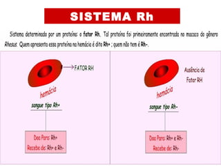 SISTEMA Rh
 