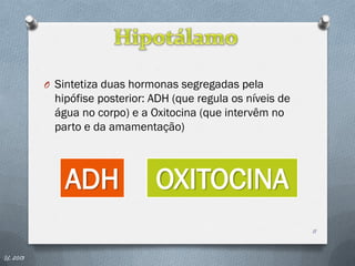 O Sintetiza duas hormonas segregadas pela
           hipófise posterior: ADH (que regula os níveis de
           água no corpo) e a Oxitocina (que intervêm no
           parto e da amamentação)



             ADH               OXITOCINA
                                                              11


IL 2013
 