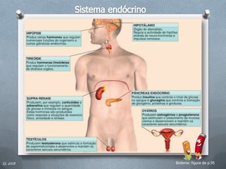 8


IL 2013   Bioterra: figura da p.95
 